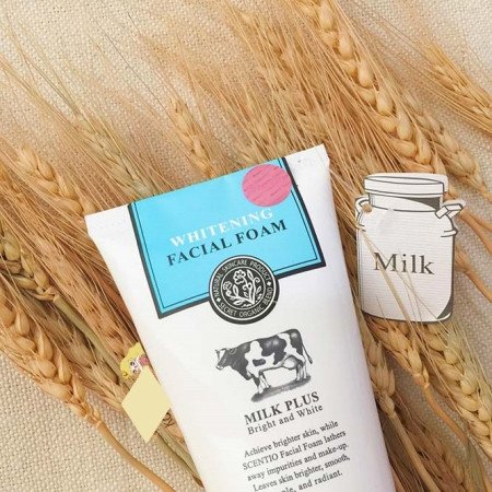 Milk Plus Whitening Q10 Facial Foam 100ml