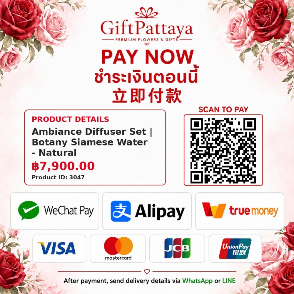 Pay Ambiance Diffuser Set | Botany Siamese Water - Natural with Pay.sn - GiftPattaya