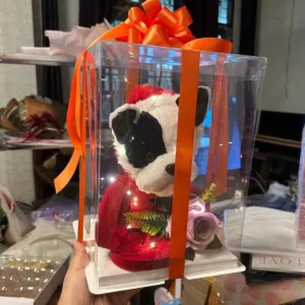 54  dogs doll in box with necklace in box with light