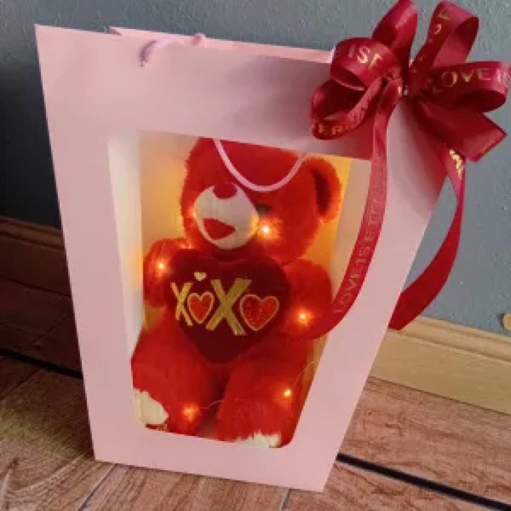 No. 22 | Teddy Bear in Bag with Light – ตุ๊กตาในถุงกระดาษพร้อมไฟ