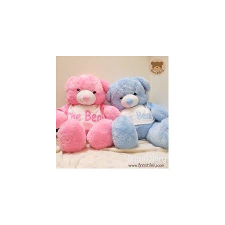 Middle Teddy Bear 07