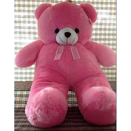 Middle Teddy Bear 07