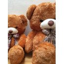 Middle Teddy Bear 10