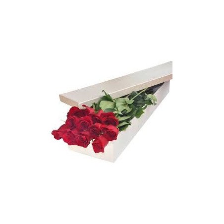 ROSE IN BOX 01