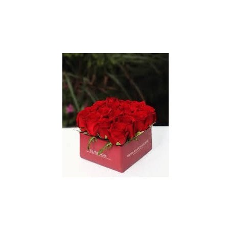ROSE IN BOX 07