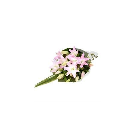 4 Pink Lilies Bouquet – Elegant Floral Gift in Pattaya 4 Pink Lilies Bouquet – Elegant Floral Gift in Pattaya