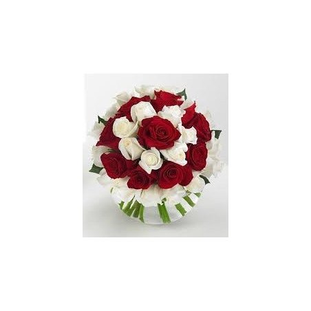 BLOOMS 34