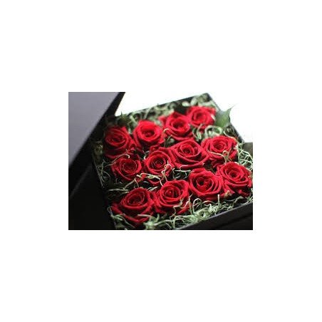 ROSE IN BOX 01 10