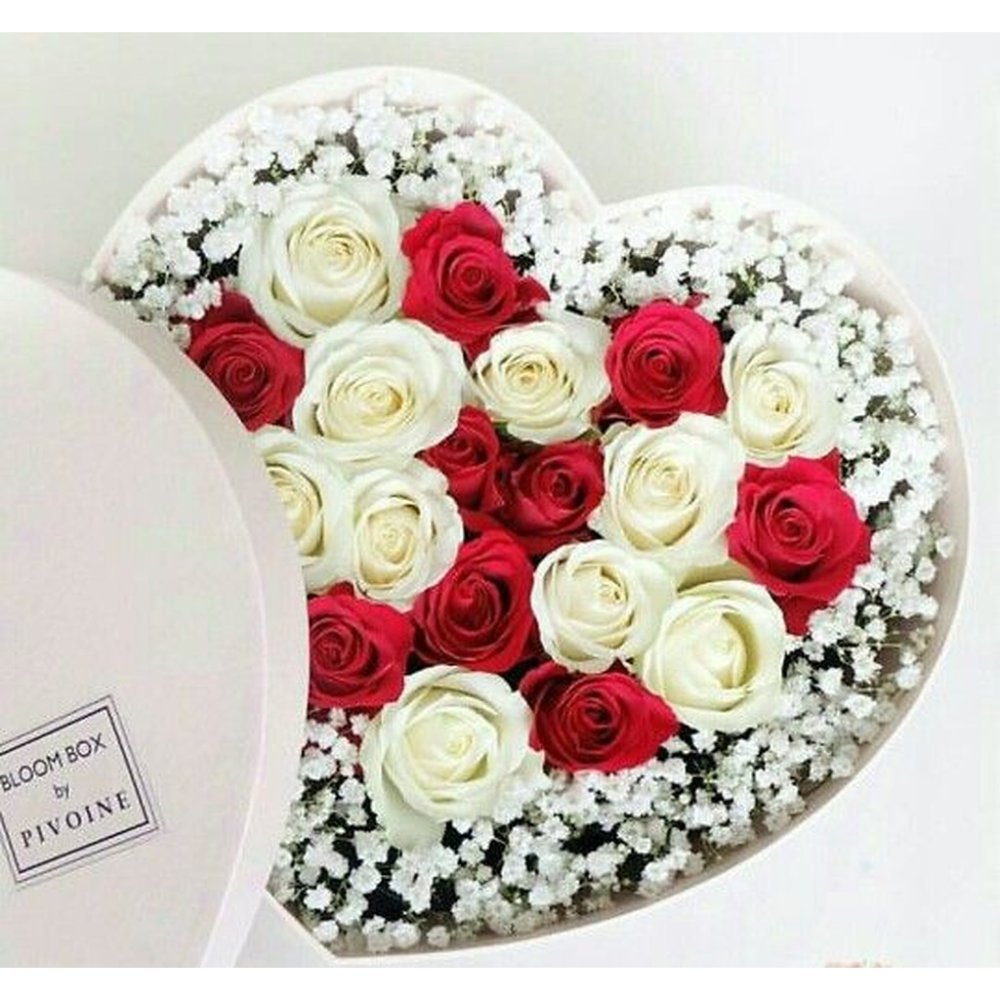 Heart-shaped red and white roses
