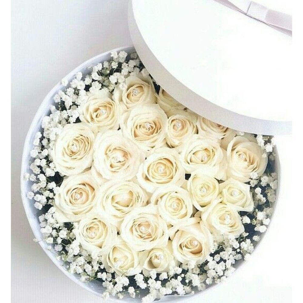 White roses in circular box