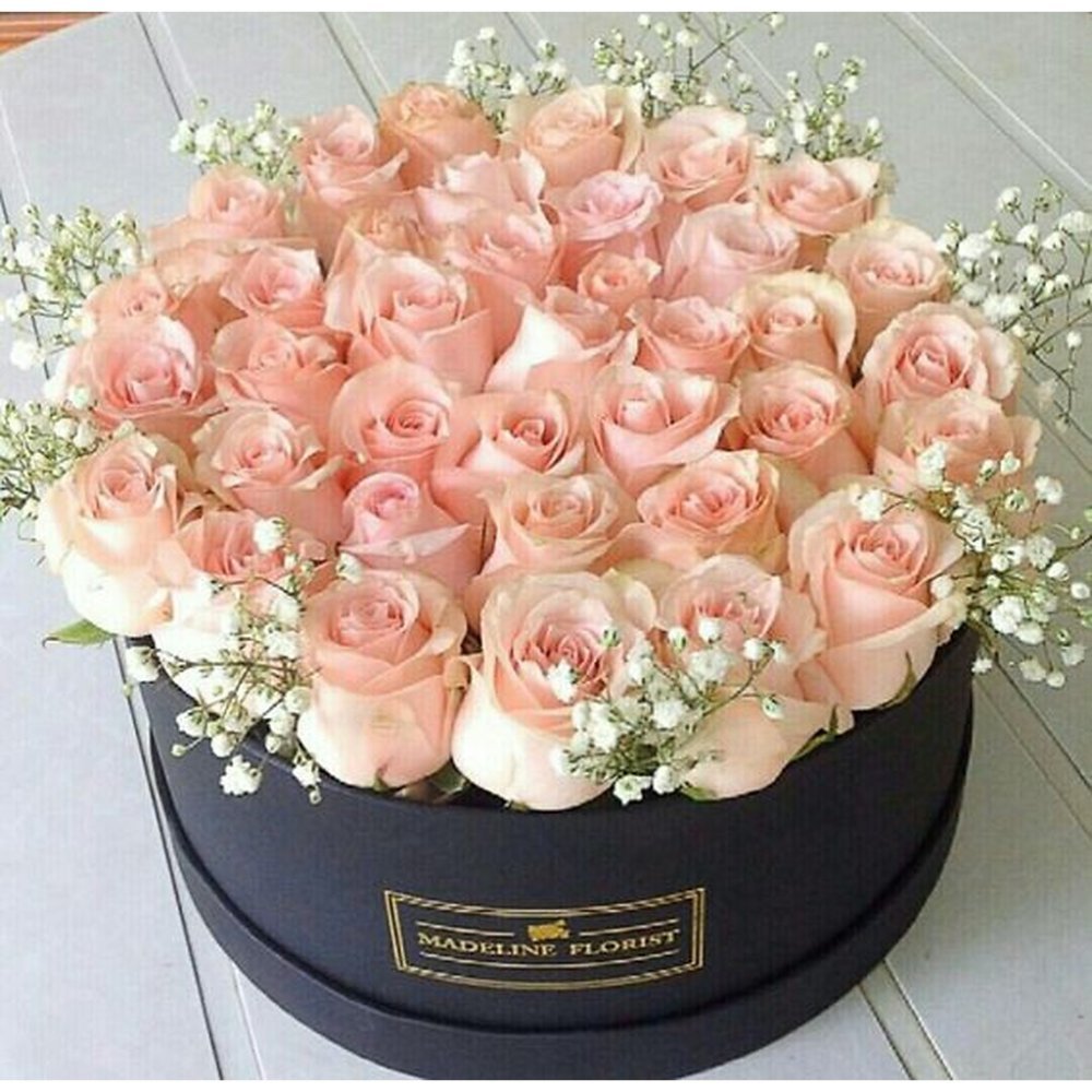 Pink roses in black box