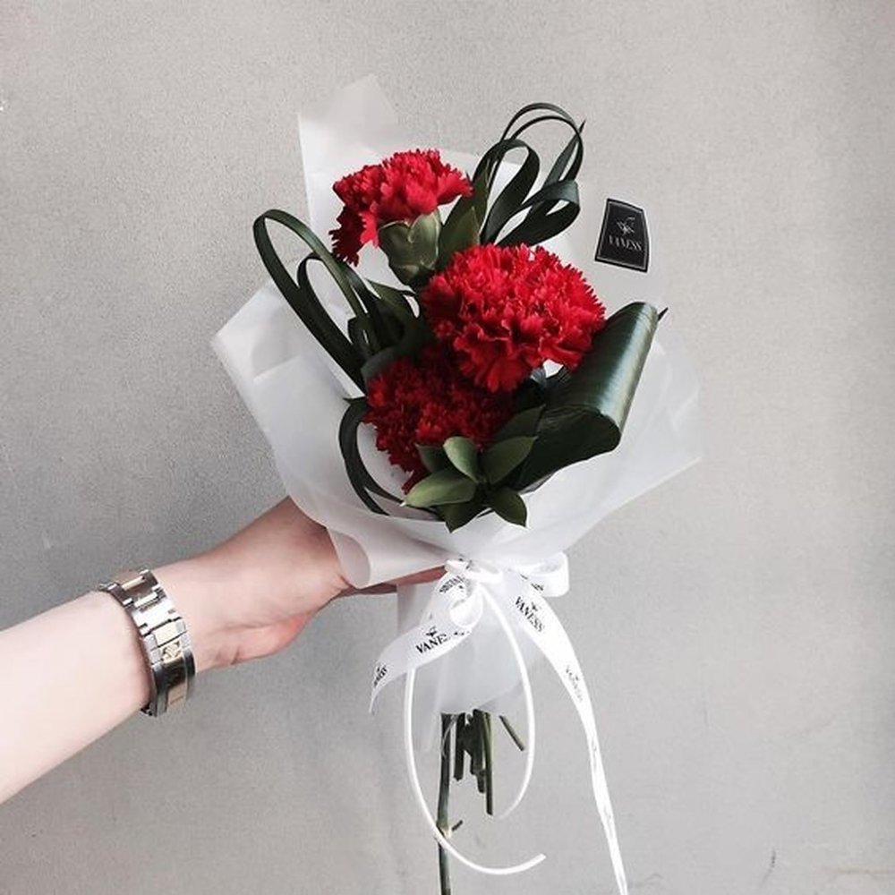 Red carnation bouquet white wrap