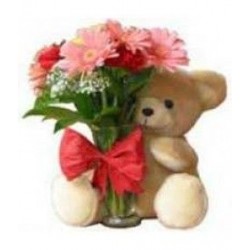 GET WELL GIFT FLOWERS  15