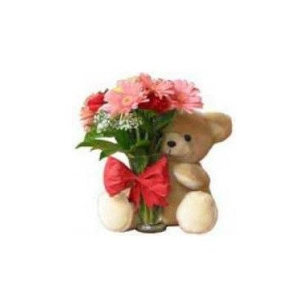 GET WELL GIFT FLOWERS  15