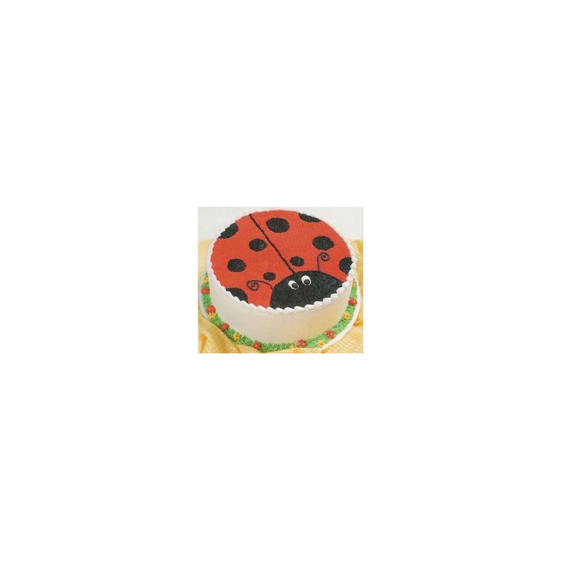  Premium Ladybug Celebration Cake – 1800g for 5 Persons | GiftPattaya Cakes - Foto 1