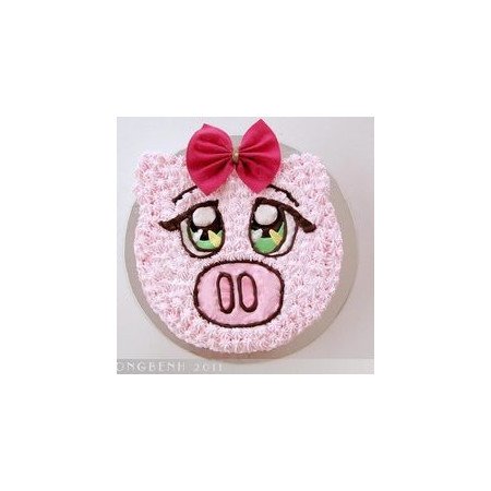 CAKE  SIZE 5 P 1800 GRAM