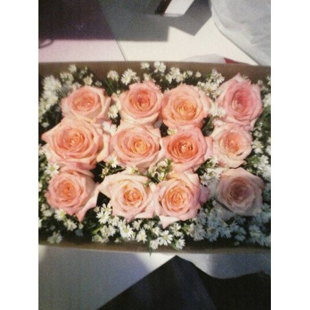 ROSE IN BOX 05