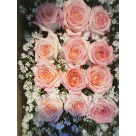 ROSE IN BOX 05