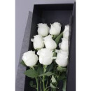 rose in box