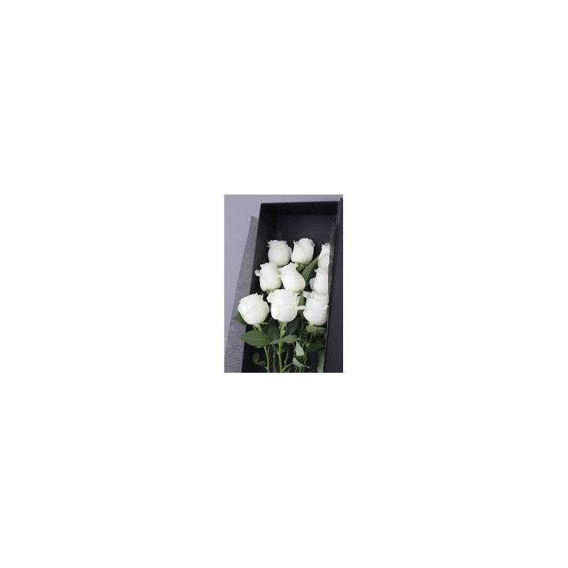 rose in box