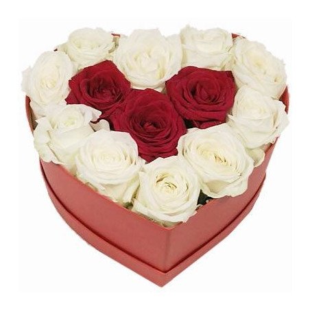 ROSE IN BOX 03