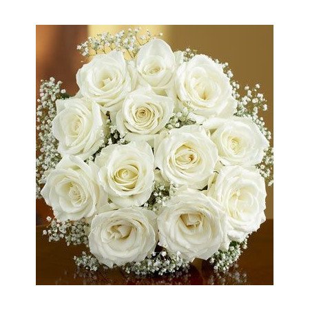 BLOOMS 06