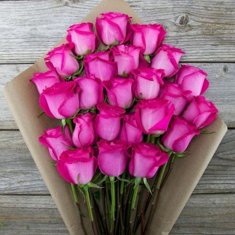 Magenta roses in kraft wrapping