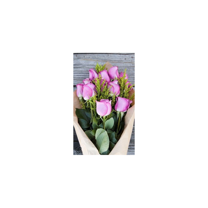 BLOOMS 21 BLOOMS 21