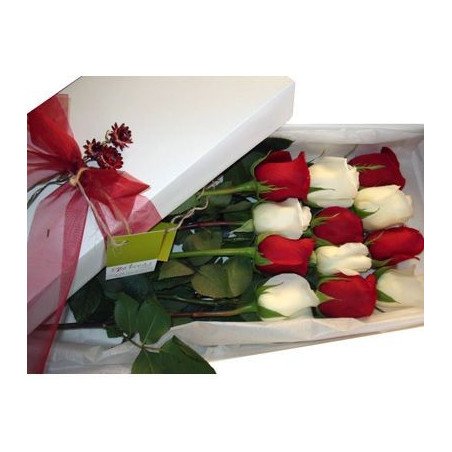 BLOOMS 39