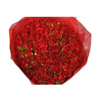 Red rose100 pc