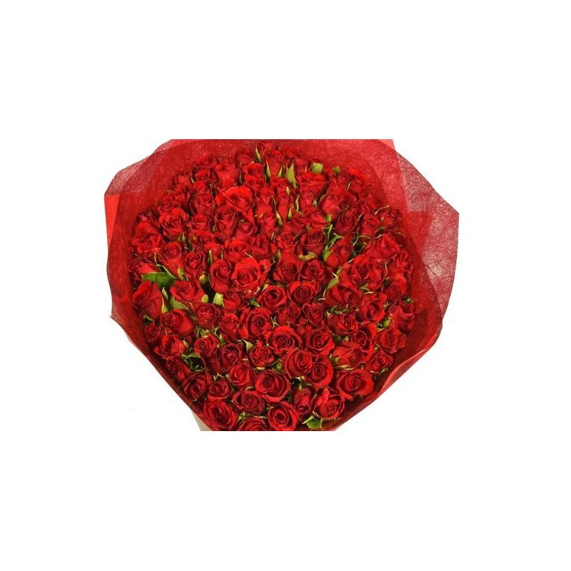 Red rose100 pc