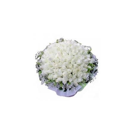 White rose100 pc