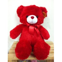Middle Teddy Bear 09