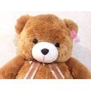 Big Teddy Bear 05