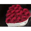 20 red roses in box