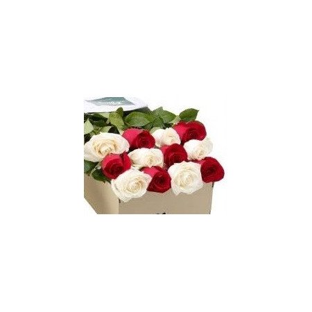 12 mix roses in box