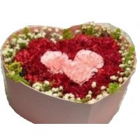 carnation flowers in box