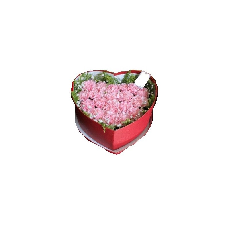 carnation flowers in box