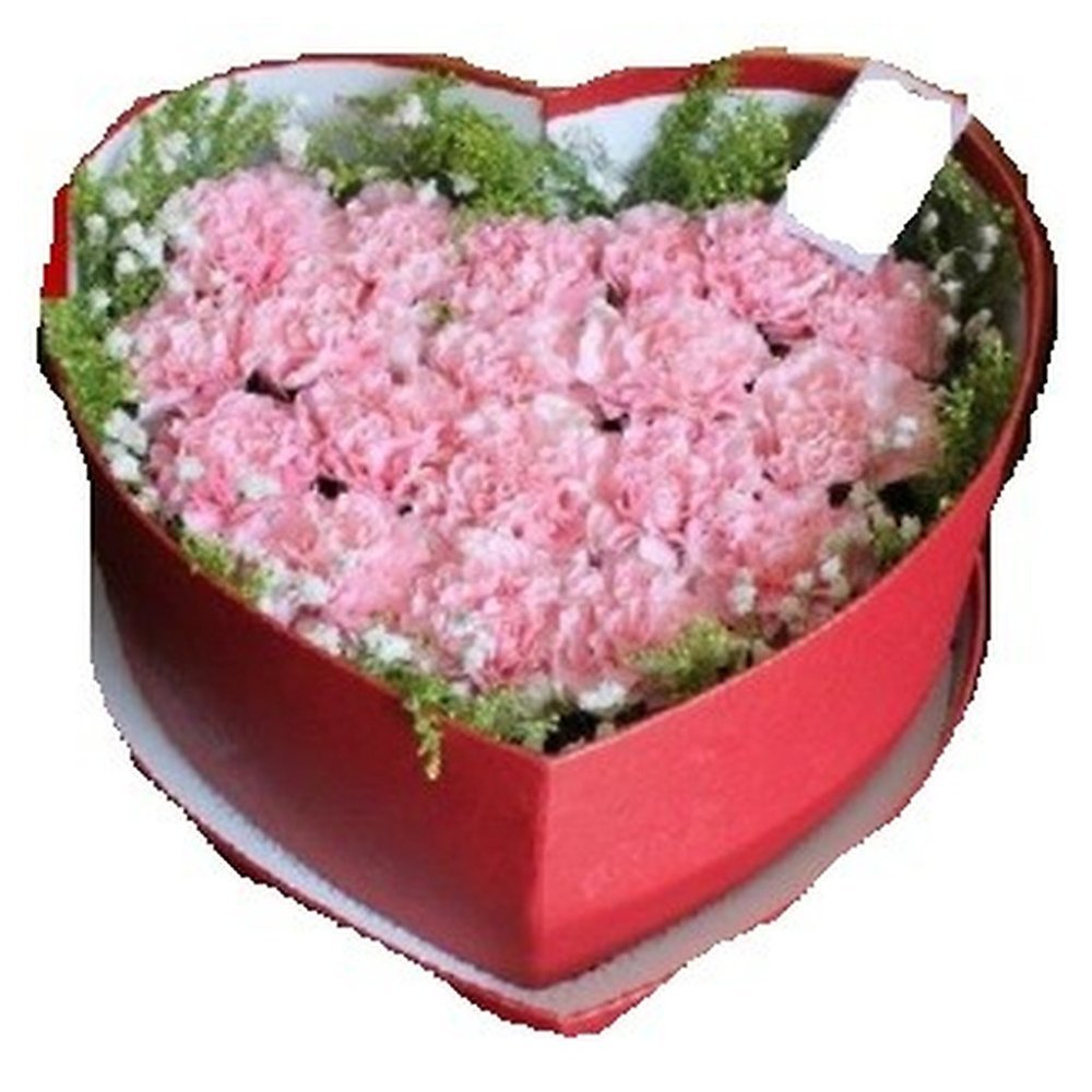 Pink carnations in heart box