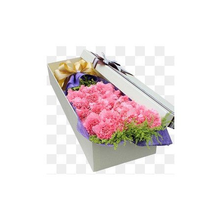 carnation pink  in box