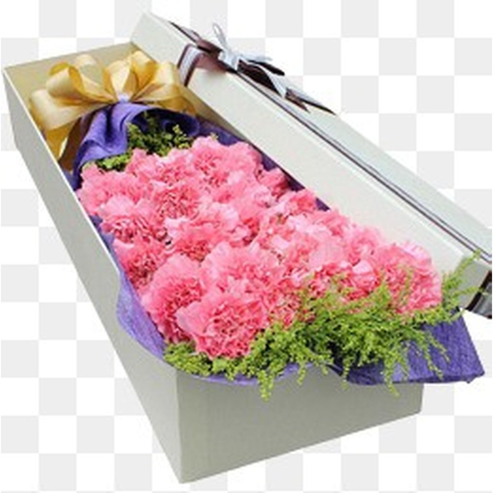 carnation pink in box