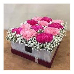 carnation flowers in box with teddy bear