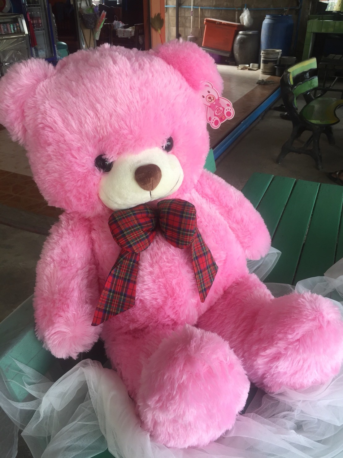 carnation teddy bear