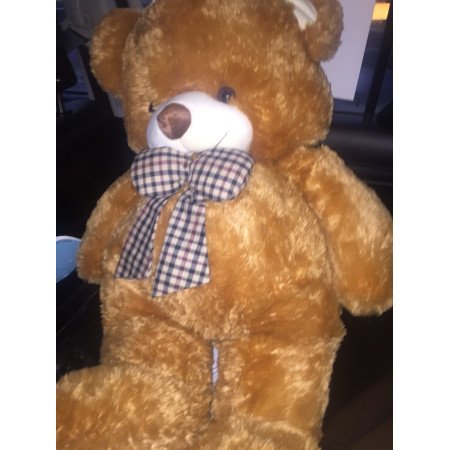 rose in box with teddy bear