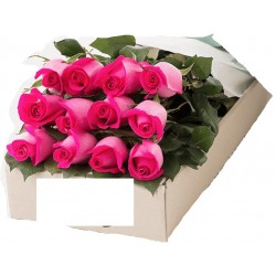 12 roses in box