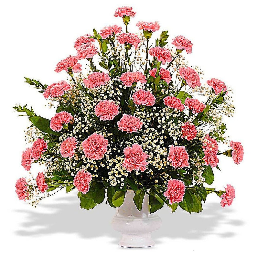 Pink carnations bouquet white vase