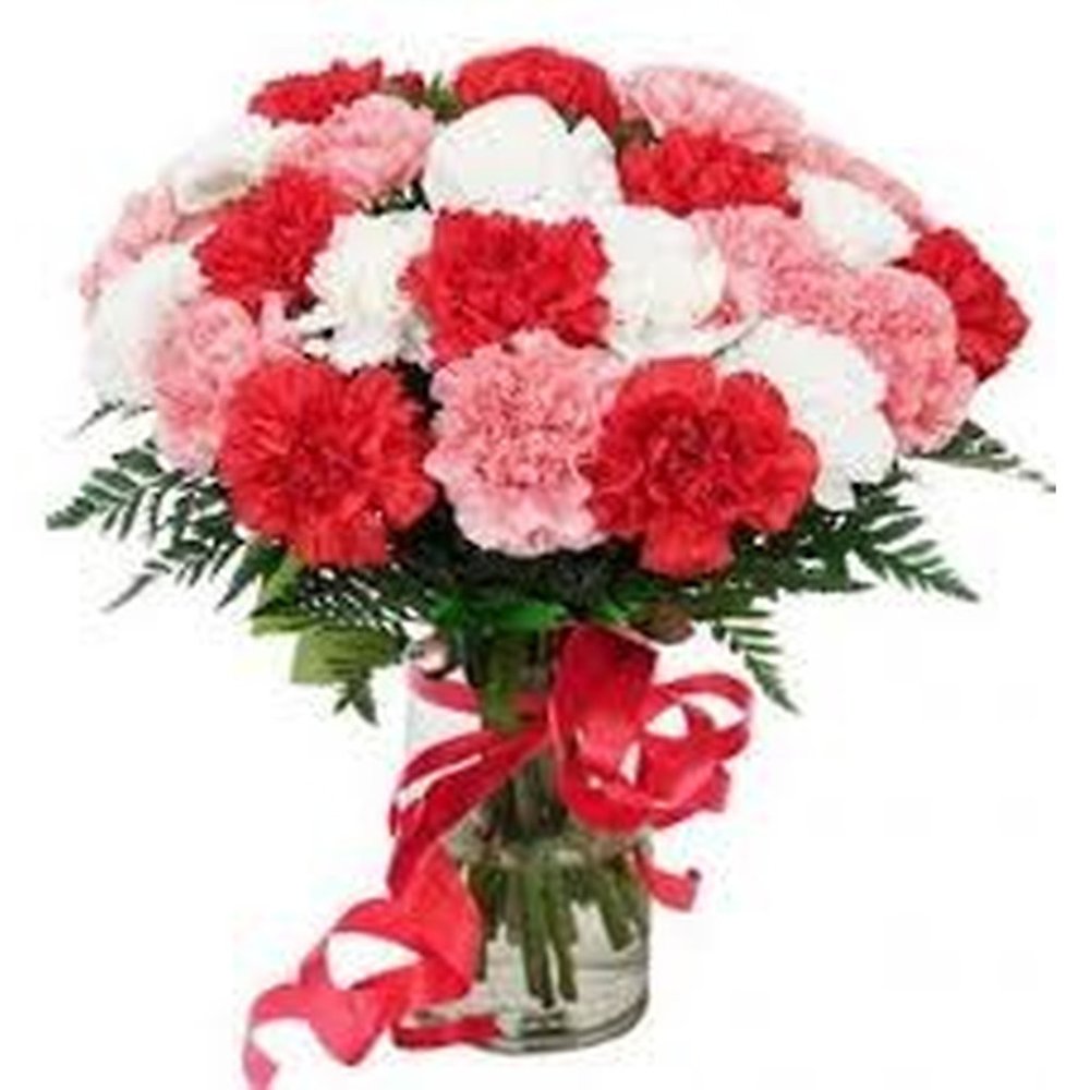 Red and white carnation bouquet