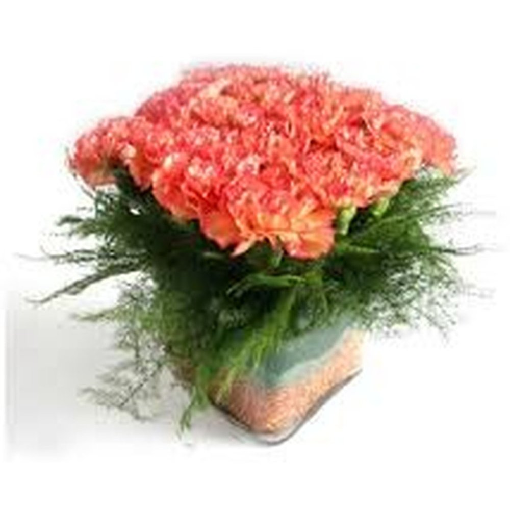 Coral flowers in beige pot