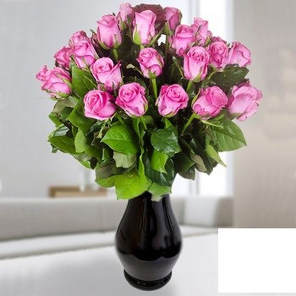 Magenta roses in black vase