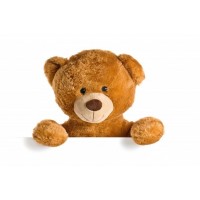 Middle Teddy Bear 06